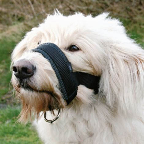 Formação Trixie Nylon Muzzle